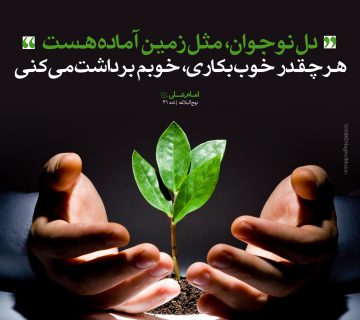 تربیت فرزند