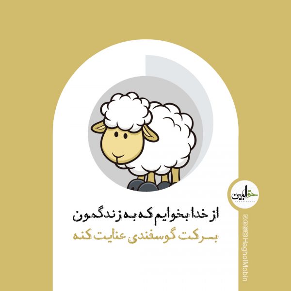 42 600x600 - گالری